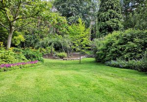 Optimiser l'expérience du jardin à Beaumont-en-Veron